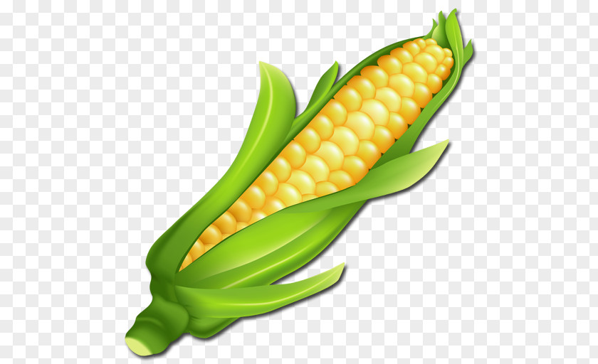 Fruit Corn On The Cob Clip Art Candy Openclipart PNG