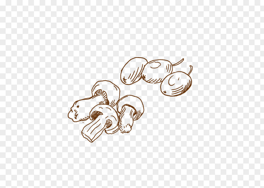 Hand Painted,line,vegetables,mushroom Drawing Food Line Art Illustration PNG
