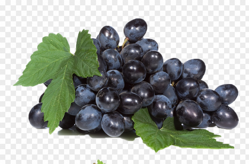 Juice Common Grape Vine Stock Photography Fruit PNG