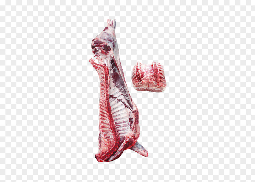 Meat Calf Lamb And Mutton Sheep Food PNG
