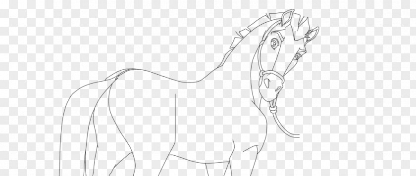 Mustang Mane Pony Drawing Sketch PNG