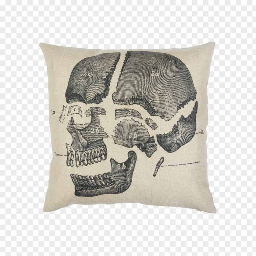 Pillow Cushion Throw Pillows Textile Polyester PNG