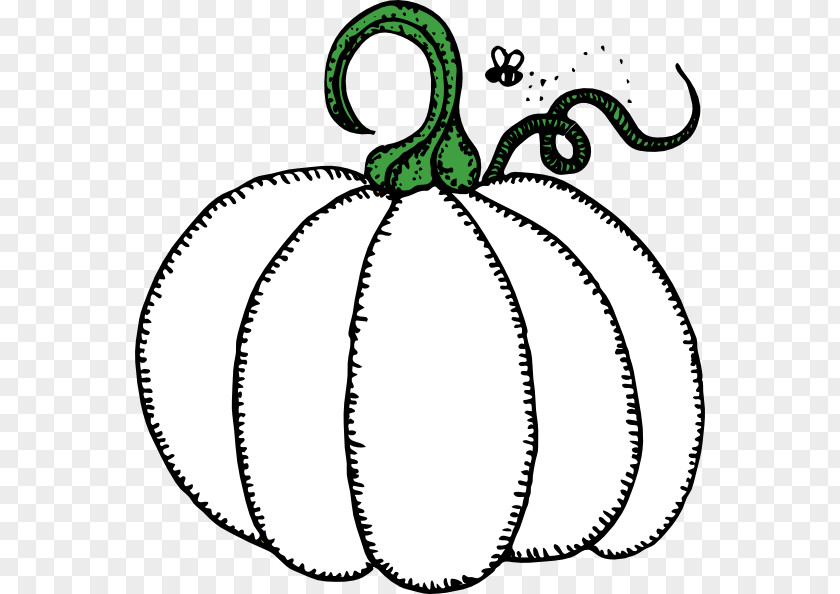 Pumpkin Clip Art Zucchini Summer Squash Openclipart PNG