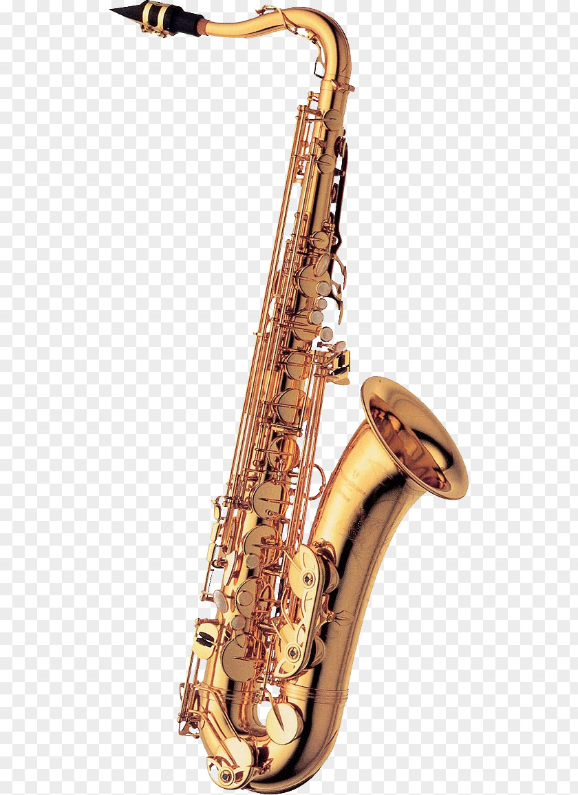 Tenor Saxophone Yanagisawa Wind Instruments Alto Henri Selmer Paris PNG