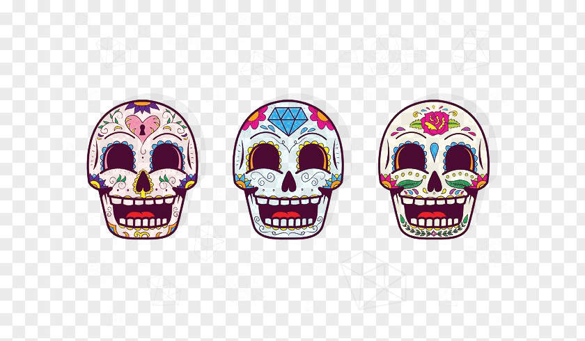 Cute Skull Calavera Human Symbolism Day Of The Dead PNG