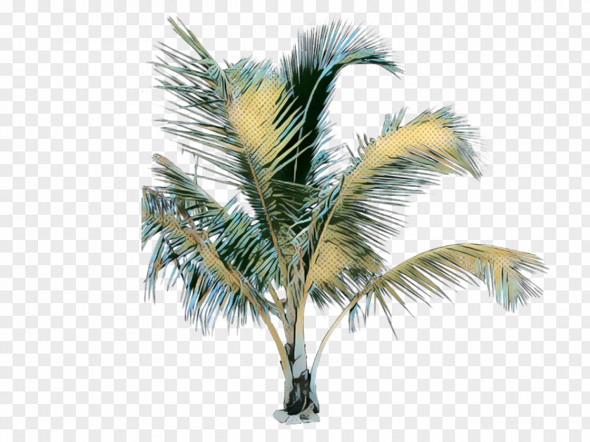 Desert Palm Borassus Flabellifer Date Tree Leaf PNG