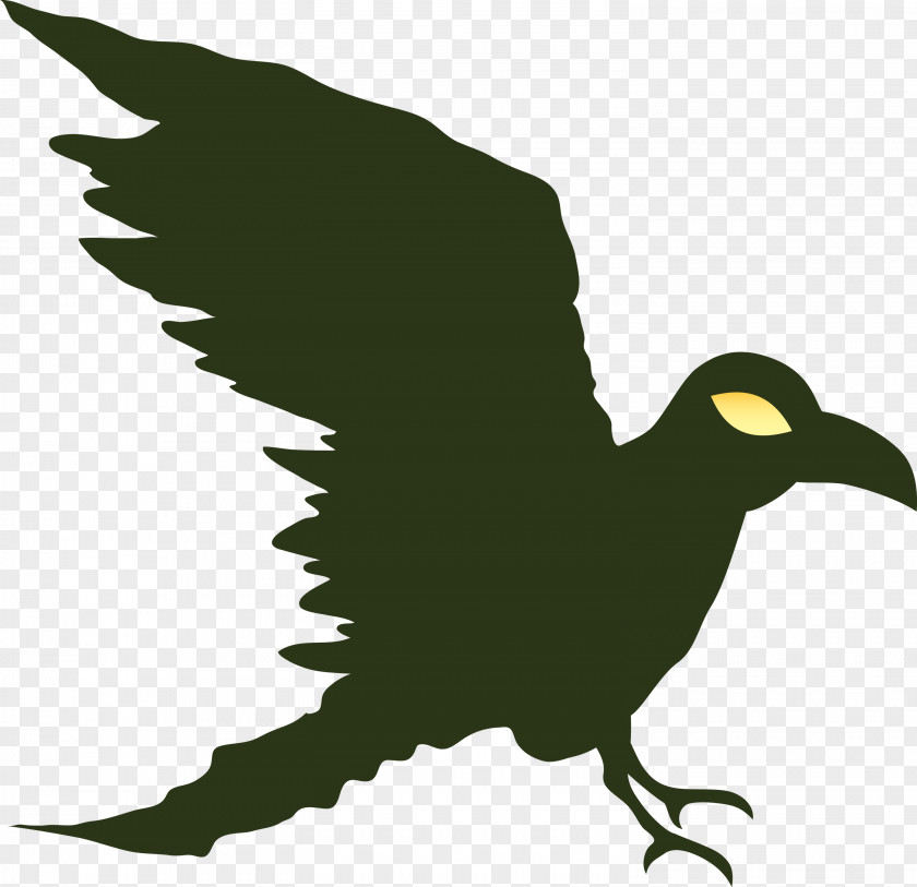 Feather PNG