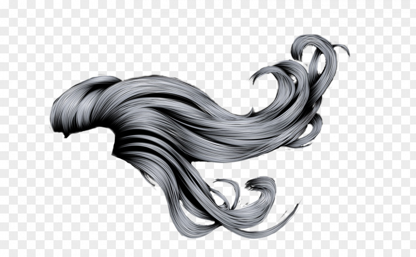 Hair Hairstyle Capelli PNG