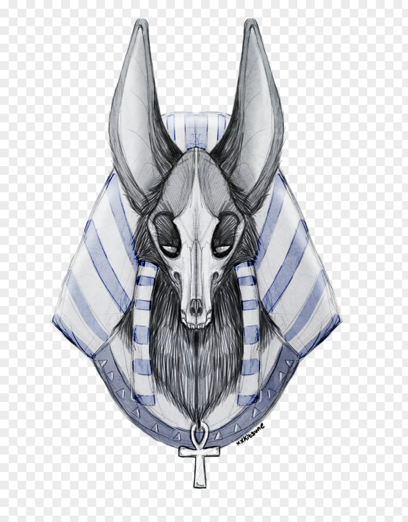 Horse /m/02csf Snout Drawing Illustration PNG