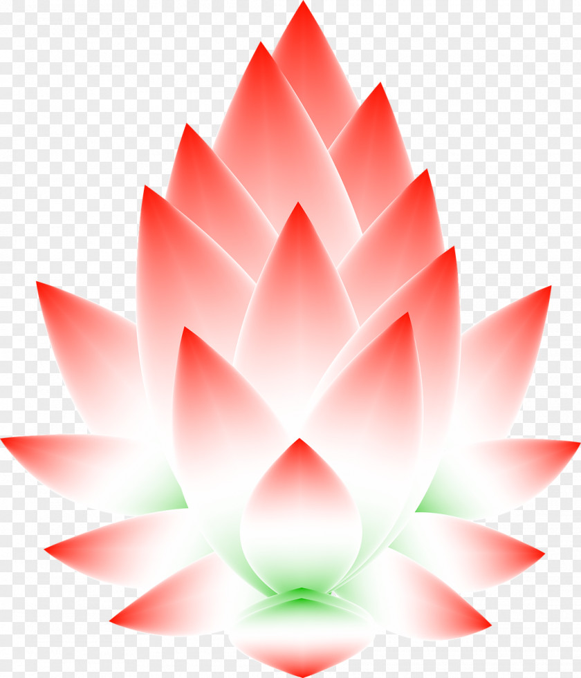 Leaf Lotus Nelumbo Nucifera Symbol Carta Astral Astrology PNG