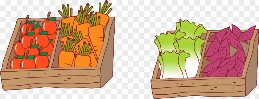 Vegetable Frame Carrot Gratis Designer PNG