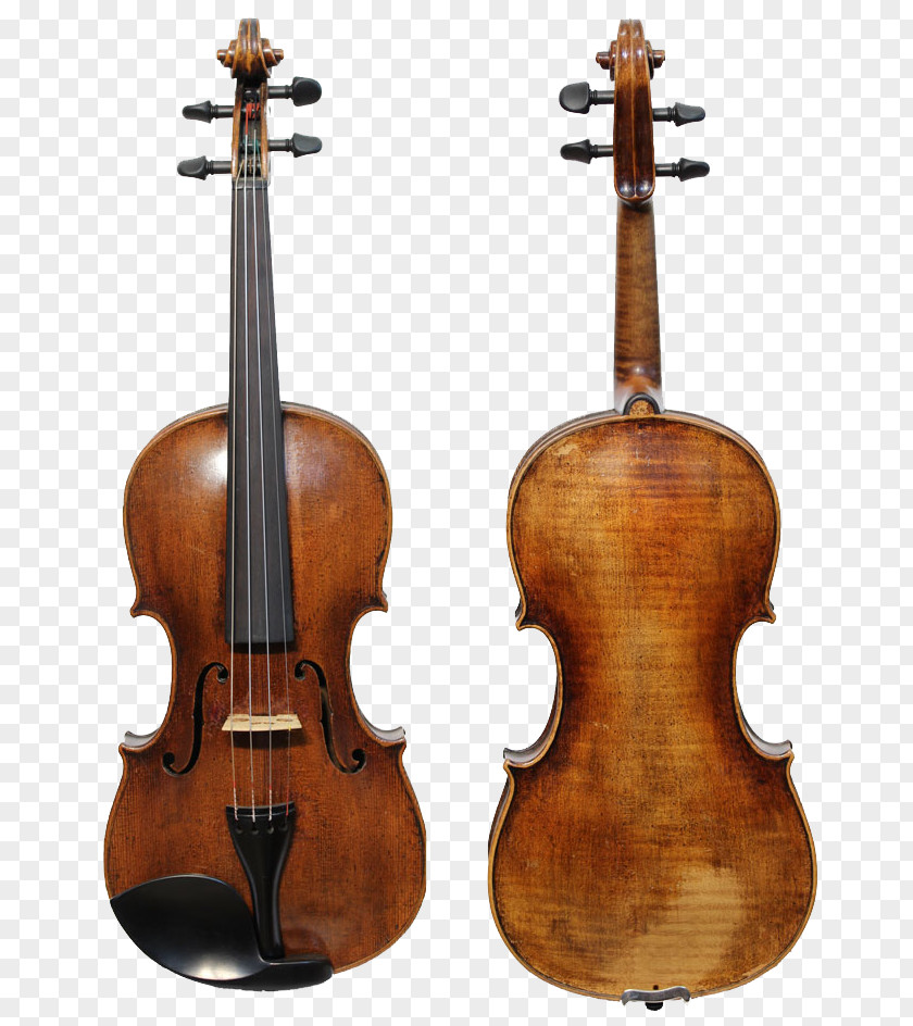 Violin String Instruments Musical Cello Viola PNG
