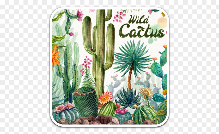 Cactus Watercolor Painting Clip Art Adobe Photoshop Image PNG