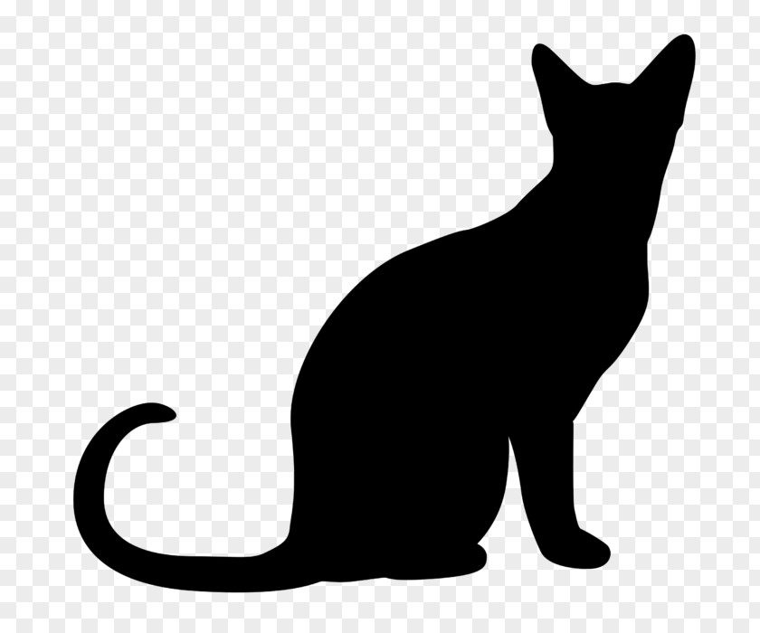 Cat Small To Medium-sized Cats Black-and-white Tail Silhouette PNG