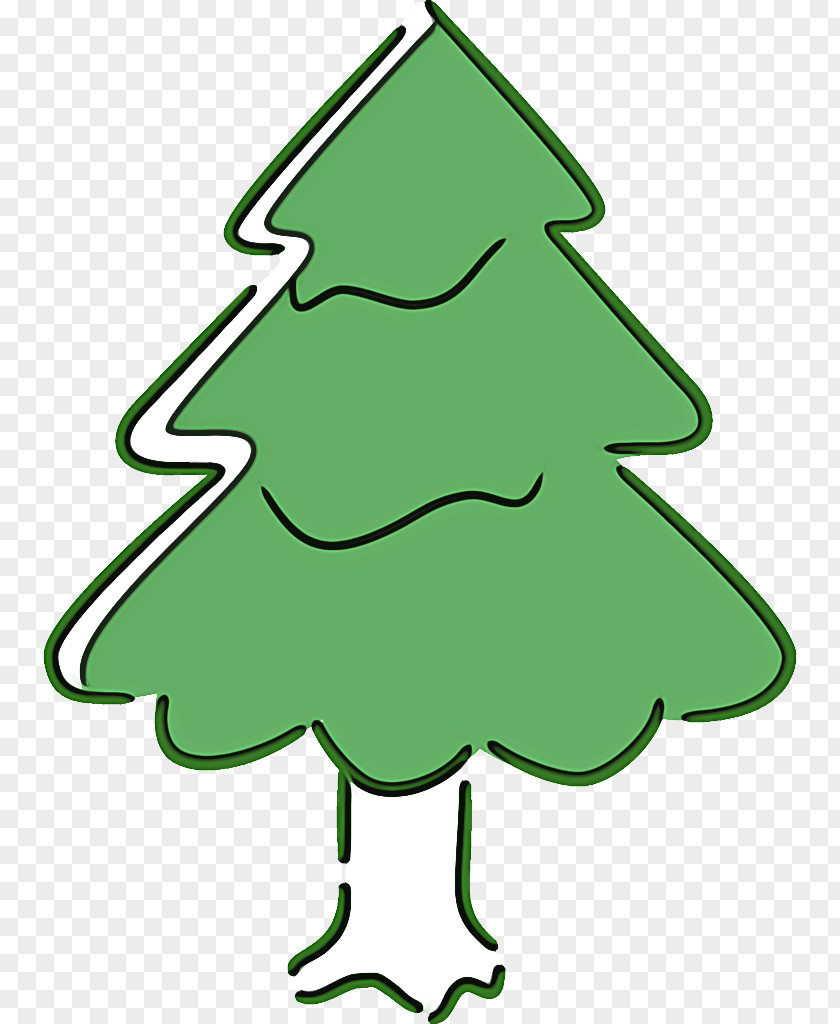 Colorado Spruce Conifer Christmas Tree PNG