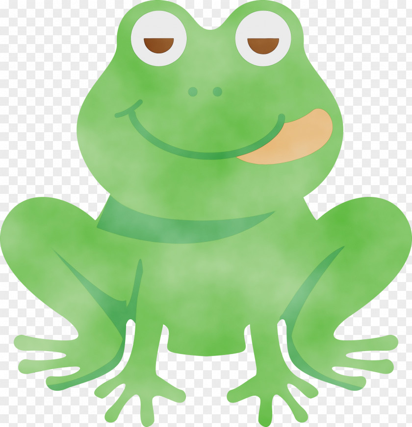 True Frog Frogs Cartoon Tree Green PNG