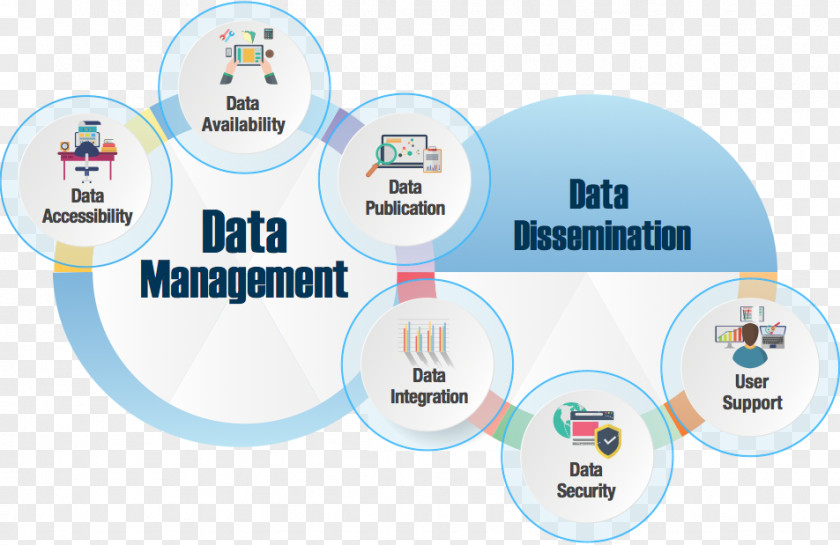 Dissemination Data Management Organization PNG