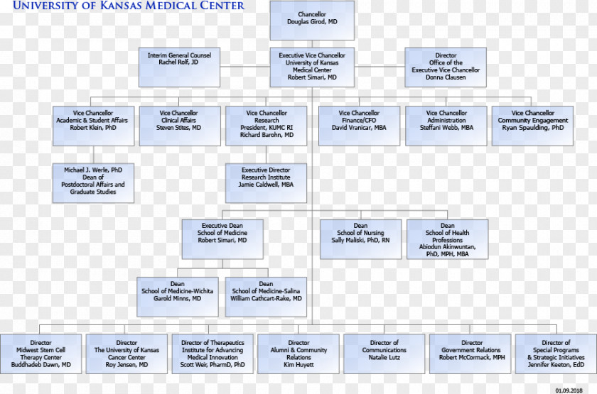 Biopharmaceutical Color Pages Organizational Chart The University Of Kansas Medical Center Diagram Structure PNG