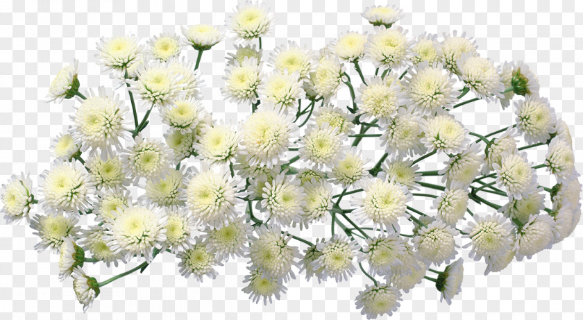 Chrysanthemum Flower Bouquet Garden Roses PNG