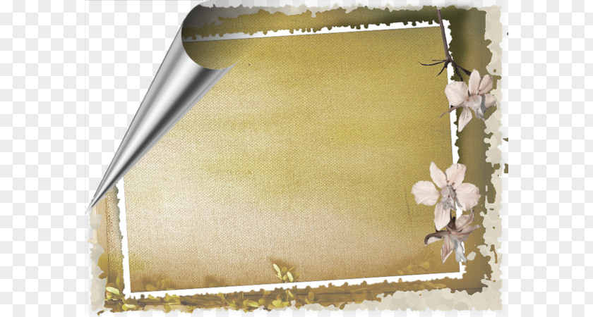 Floral Decoration Borders Picture Frame Clip Art PNG