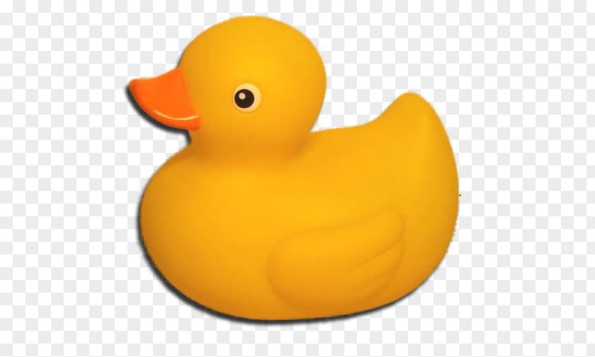 Free Download Images Duck Rubber PNG