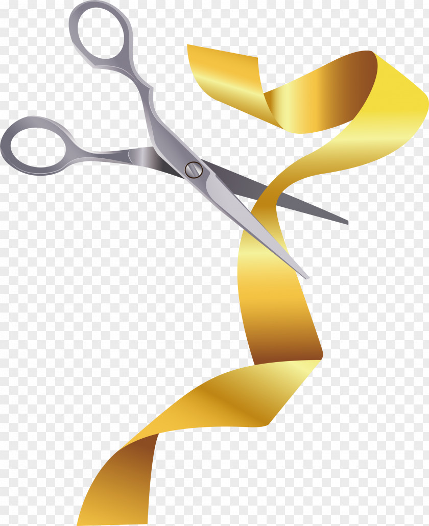 Golden Ribbon PNG