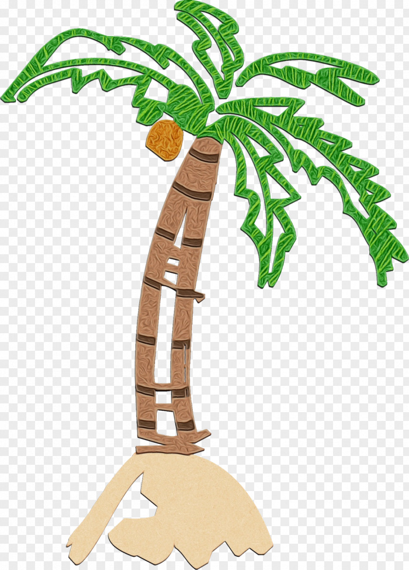 Root Arecales Palm Tree PNG