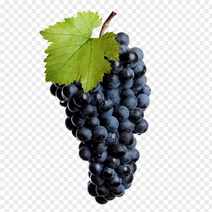 Wine Common Grape Vine Red Leaves PNG