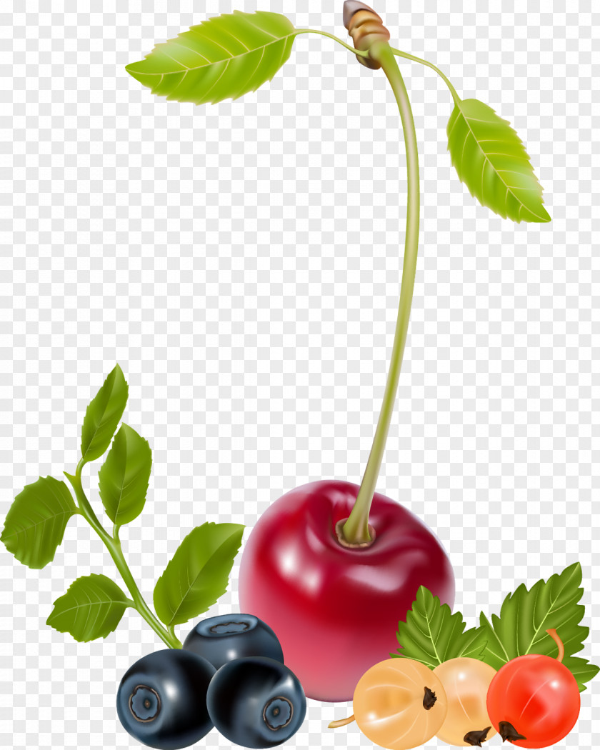 Berries Cherry Fruit PNG