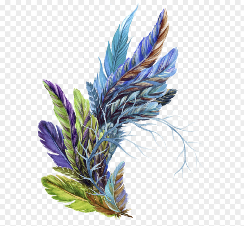 Feather Painting Watercolor Texture Drawing PNG