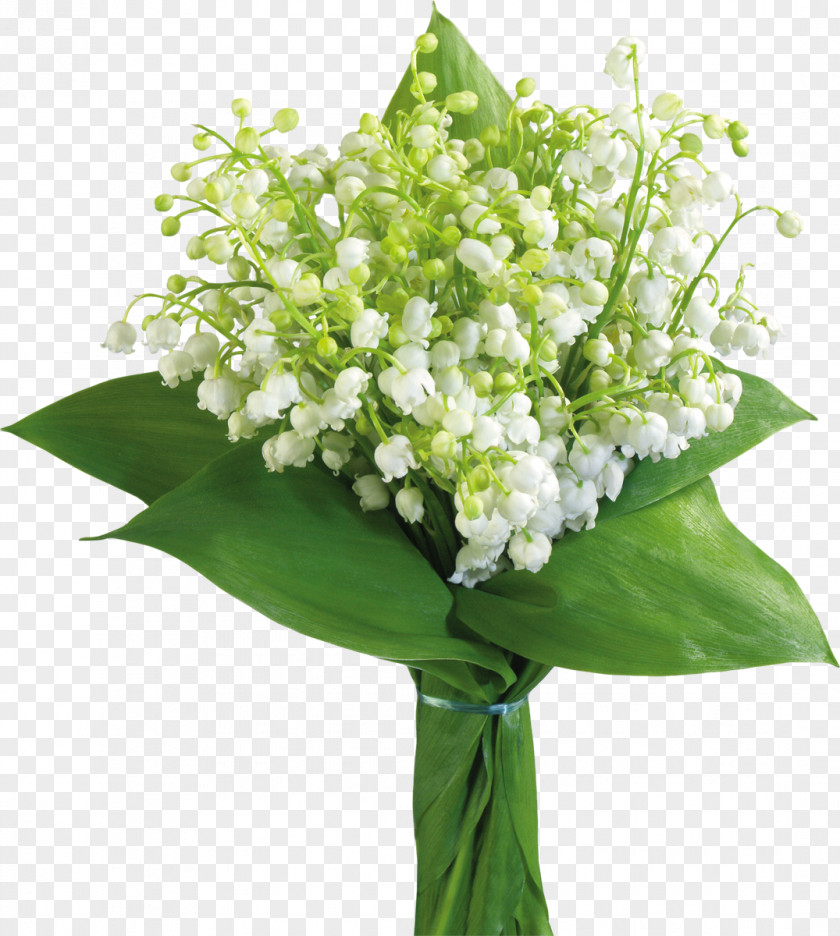 Lily Of The Valley May 1 International Workers' Day Labour PNG