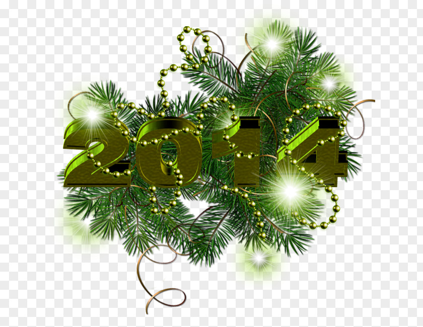 New Year Kuangshuai Christmas Ornament PNG