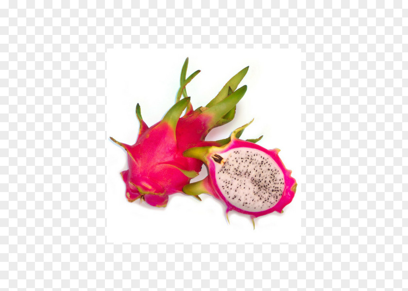 Vegetable Hylocereus Megalanthus White-fleshed Pitahaya Pitaya Fruit PNG