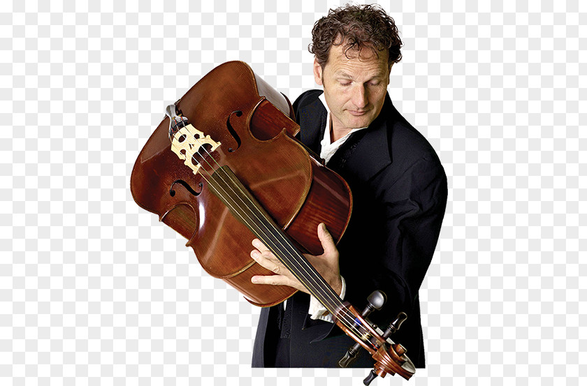 Violin Violone Double Bass Viola Cello PNG