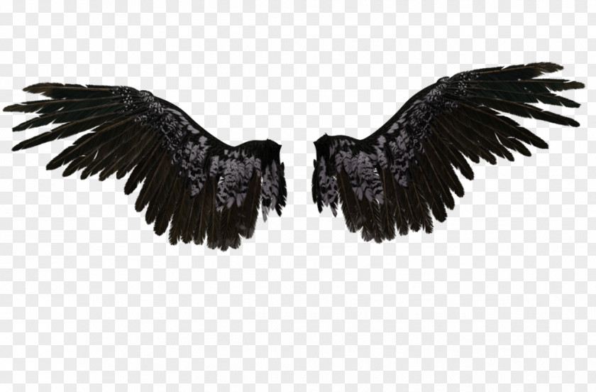 Angel Wings Castiel Drawing PNG