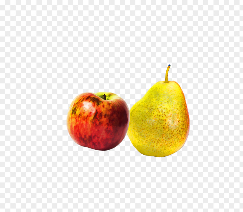 Apple Asian Pear Clip Art PNG