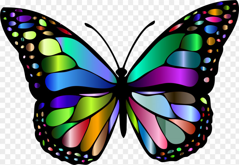 Butterfly Monarch Color Clip Art PNG