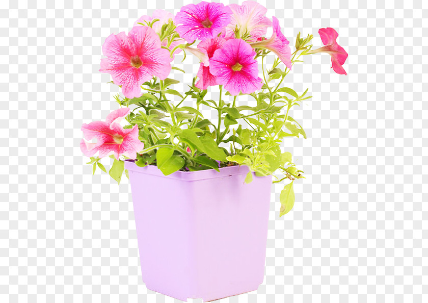 Vase Flowerpot Floral Design Plastic PNG