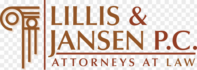 Lawyer Lillis & Jansen P.C. Biringer, Hutchinson, Lillis, Bappert Angell, P.C.: Carlynn T. Senak Law Firm PNG