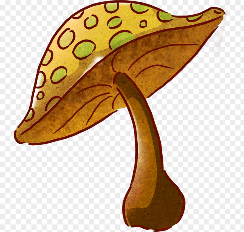 Mushroom Common Drawing Color Clip Art PNG