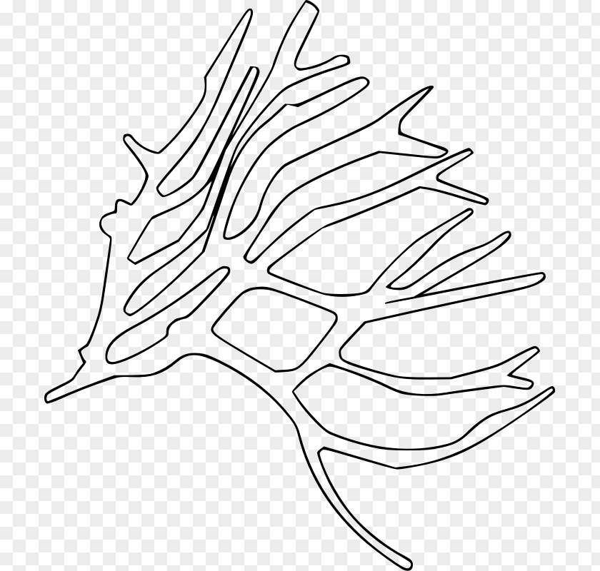 Sea Drawing Clip Art PNG