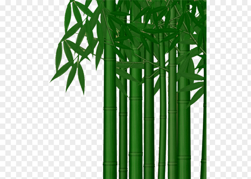 Bamboo Poster Download Clip Art PNG