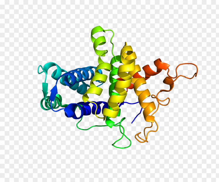 Flli Fontana QSOX1 Thiol Oxidase Protein PNG