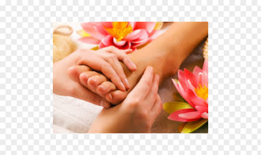 Foot Care Thai Massage Day Spa PNG