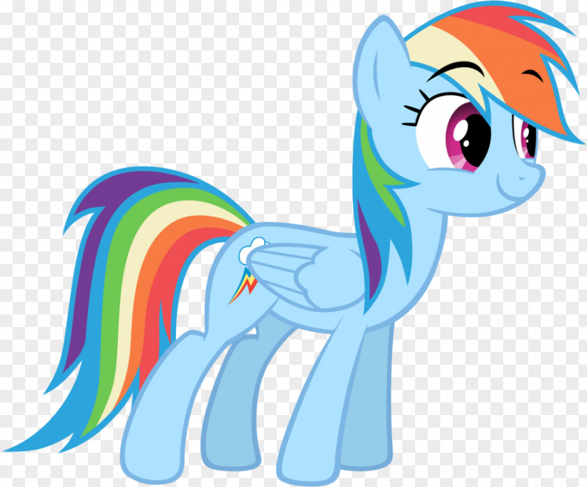 Omg Moron Pony Rainbow Dash Twilight Sparkle Pinkie Pie Rarity PNG
