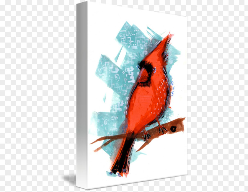 Red Cardinal Feather Beak PNG