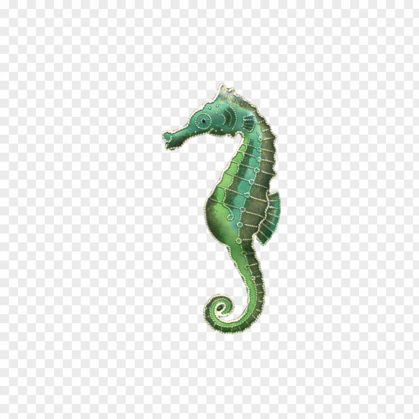 Seahorse Earring Jewellery Brooch Necklace PNG