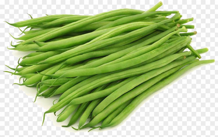 Vegetable Common Bean Yardlong Green PNG