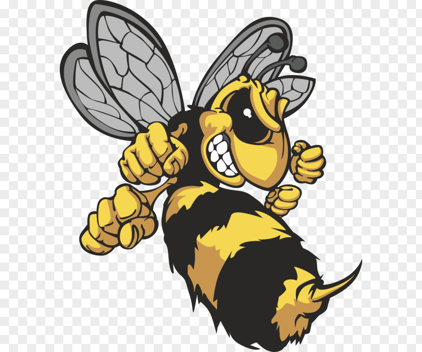 Bee Hornet Clip Art Vector Graphics Royalty-free PNG