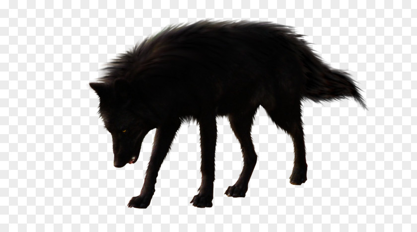 Dog Black Wolf Arctic PNG